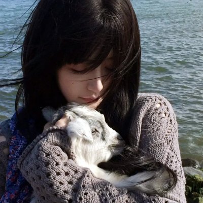 亚马逊萌猴奇遇记